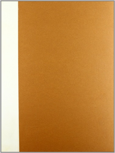 Banca C.Steinhauslin e C.1868-1968. Cento anni di attività.