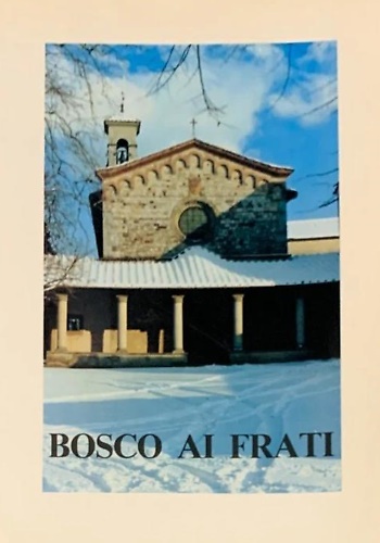 Bosco ai Frati.