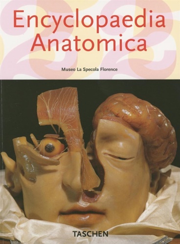 Encyclopaedia Anatomica. Museo La Specola Florence.