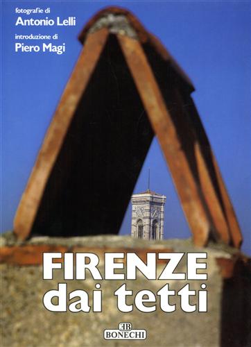 Firenze dai tetti.