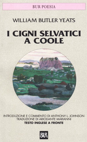 I cigni selvatici di Coole.