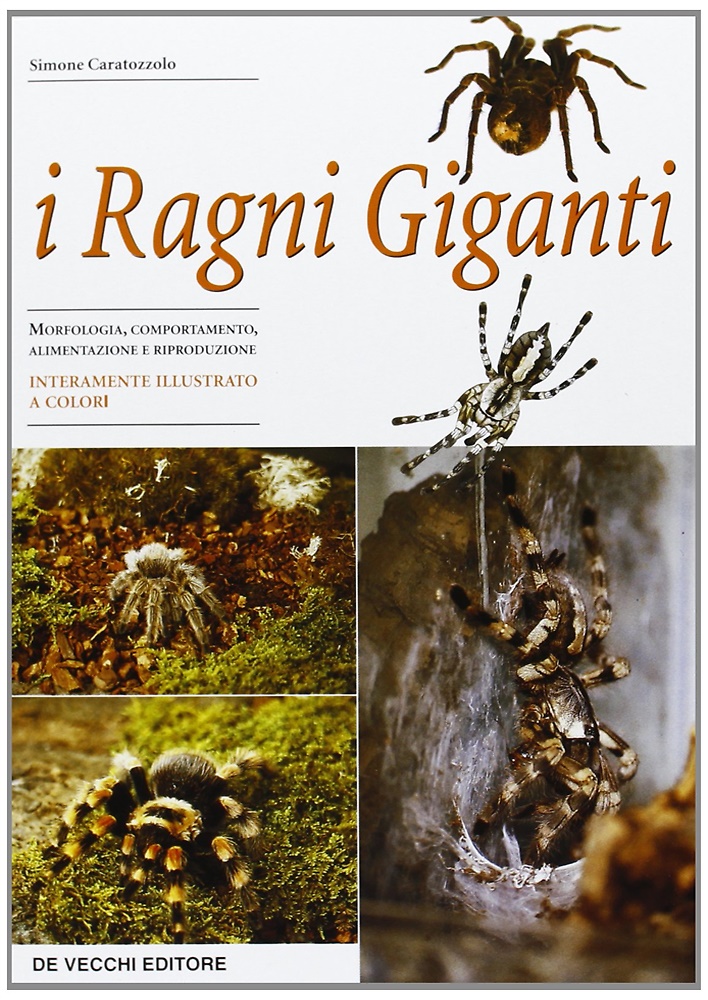 I ragni giganti.