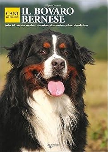 Il Bovaro Bernese.