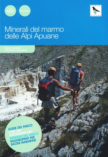 Minerali del marmo delle Alpi Apuane.