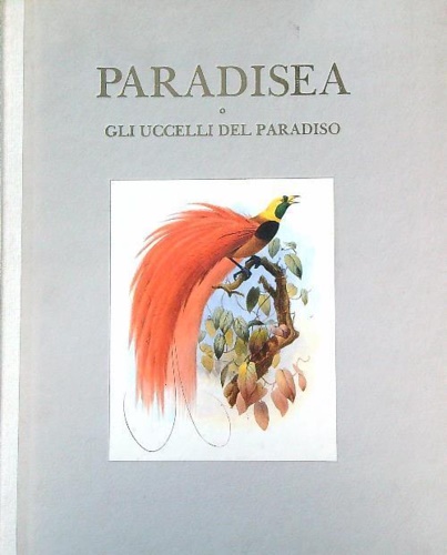 Paradisea o gli uccelli del Paradiso.