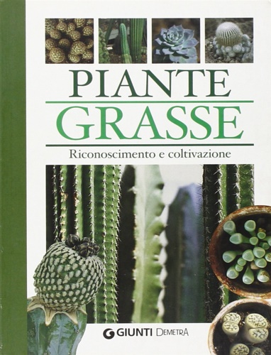 Piante grasse.