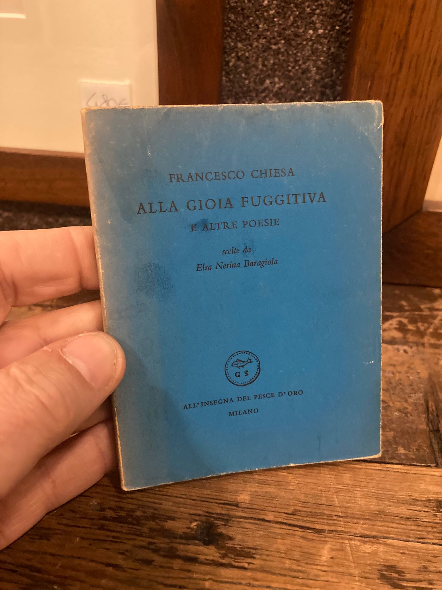 Alla gioia fuggitiva e altre fughe scelte da Elena Nerina …