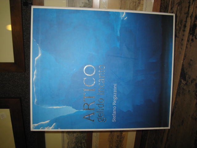 Artico gelido incanto