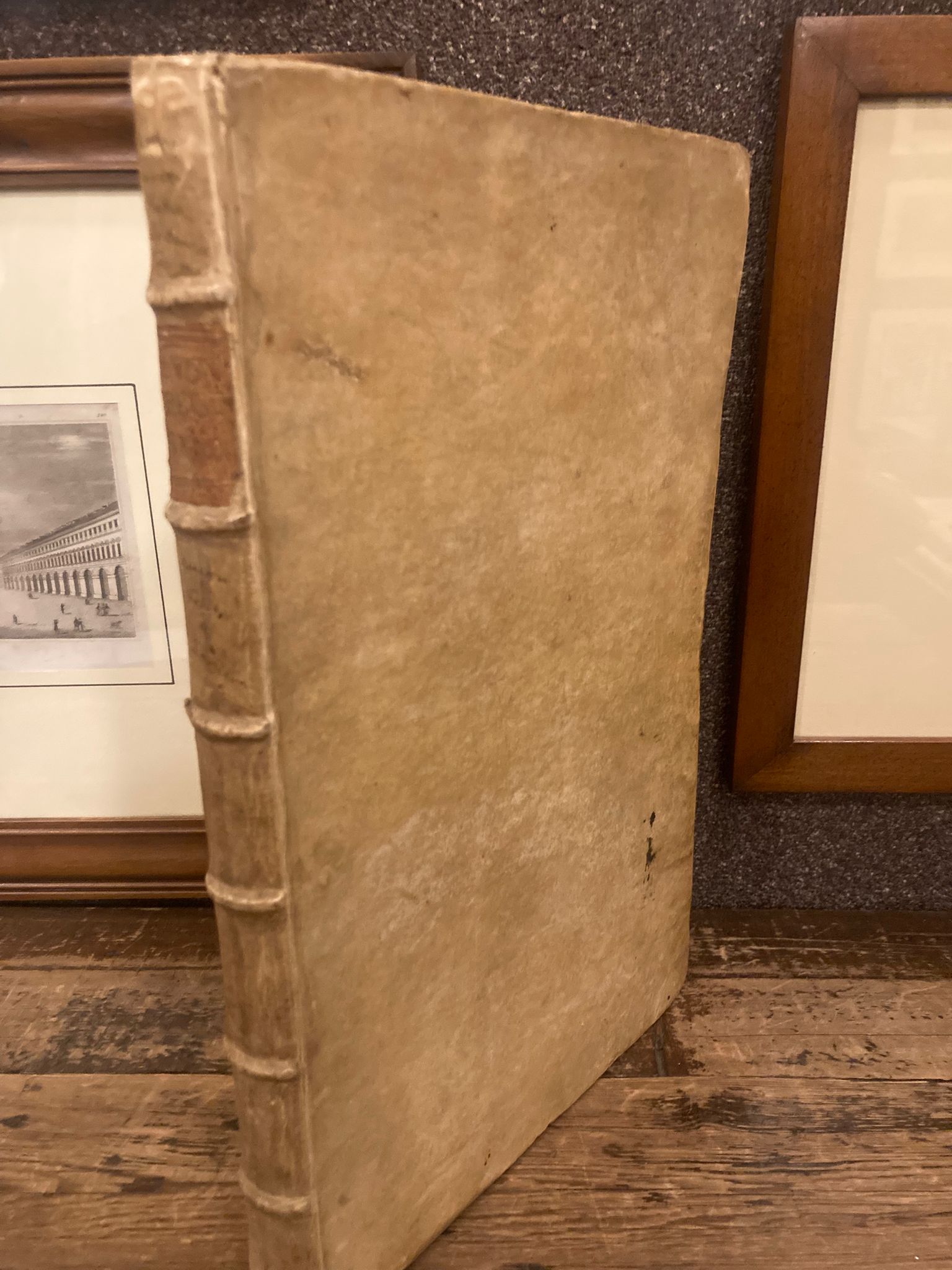 Augustae Regiaeque Sabaudae Domus Arbor gentilitia Regiae Celsitudini Victori Amedeo …