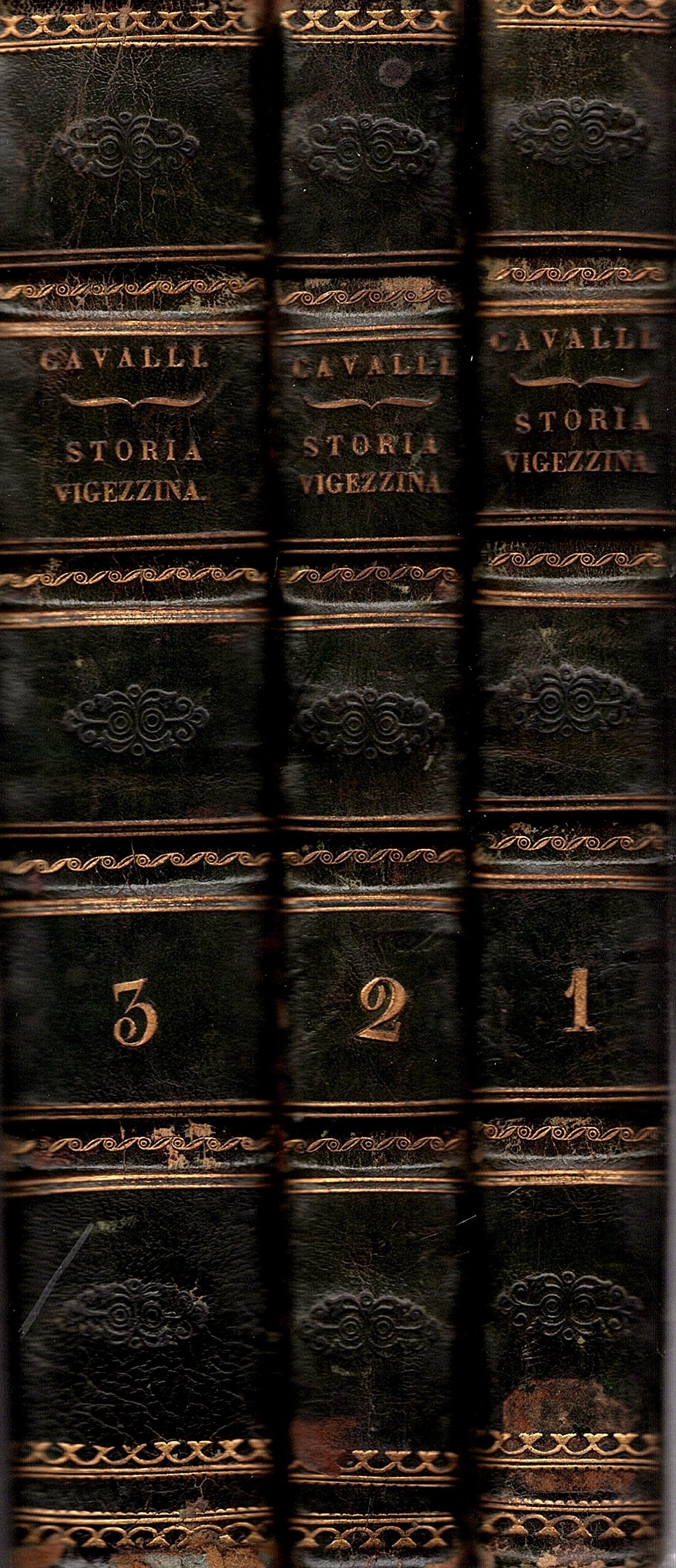 Cenni statistico - storici della Valle Vigezzo
