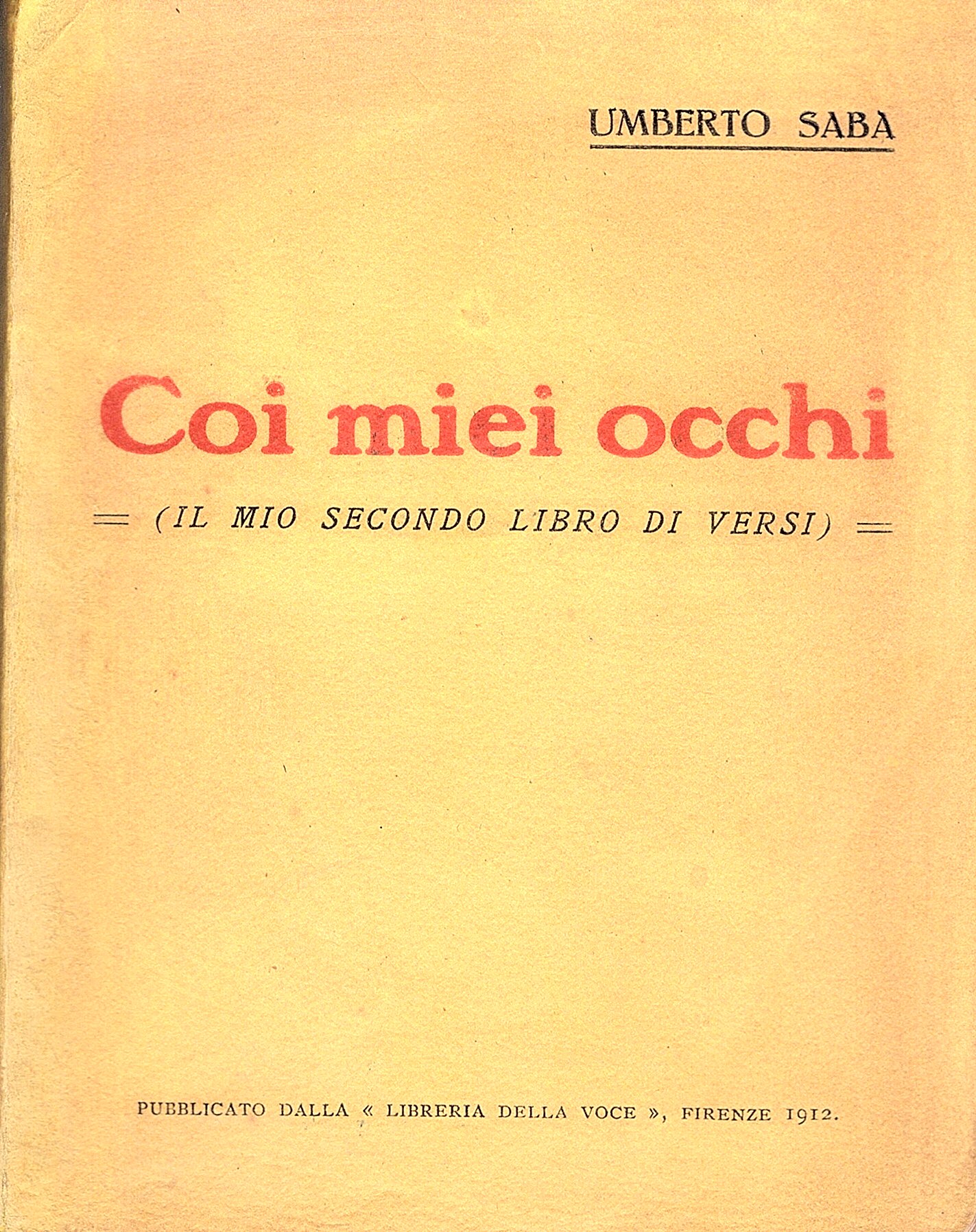 Coi miei occhi. Il mio secondo libro di versi,