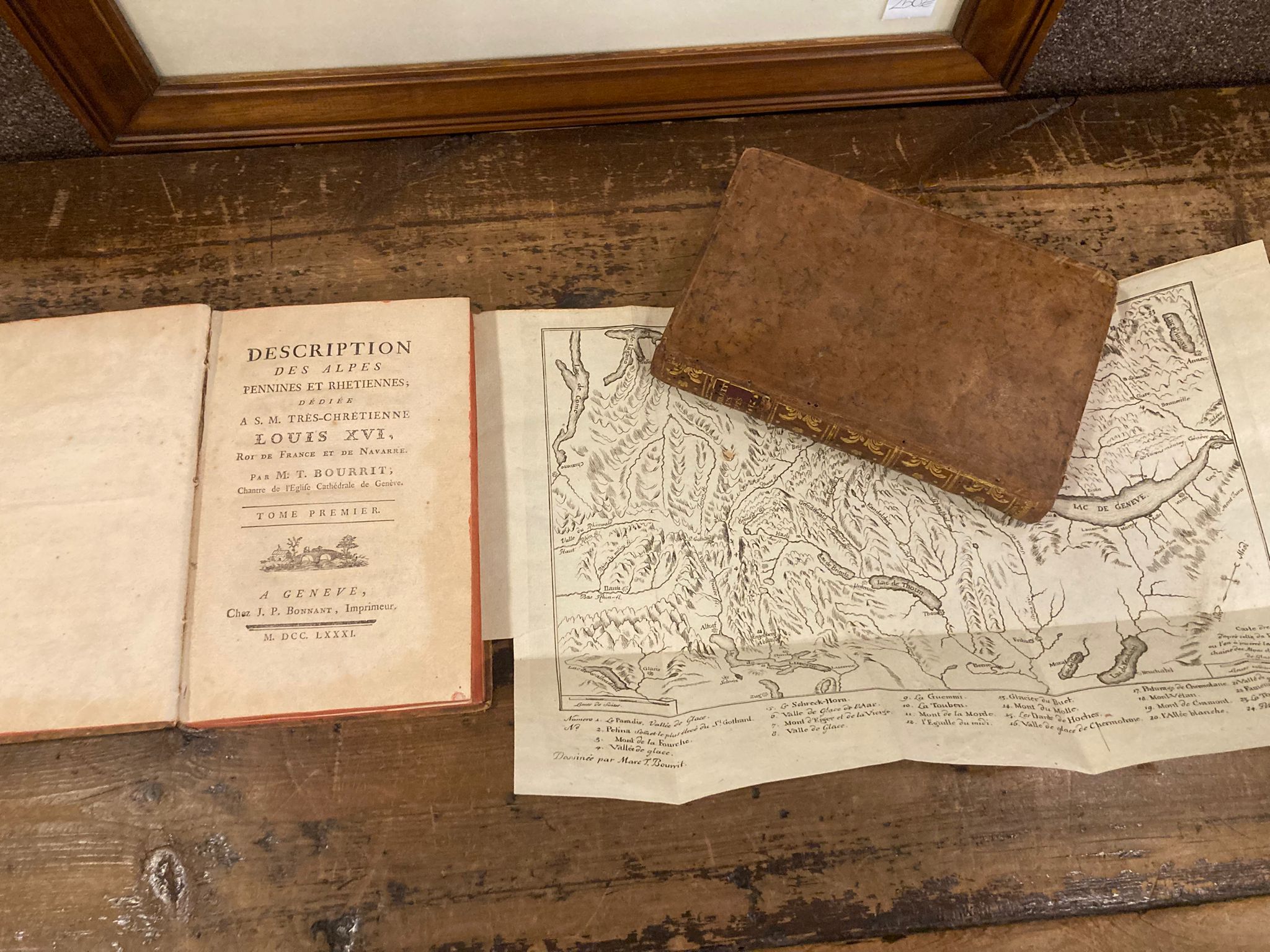 Description des Alpes Pennines et Rhetiennes; dédiée a S. M. …