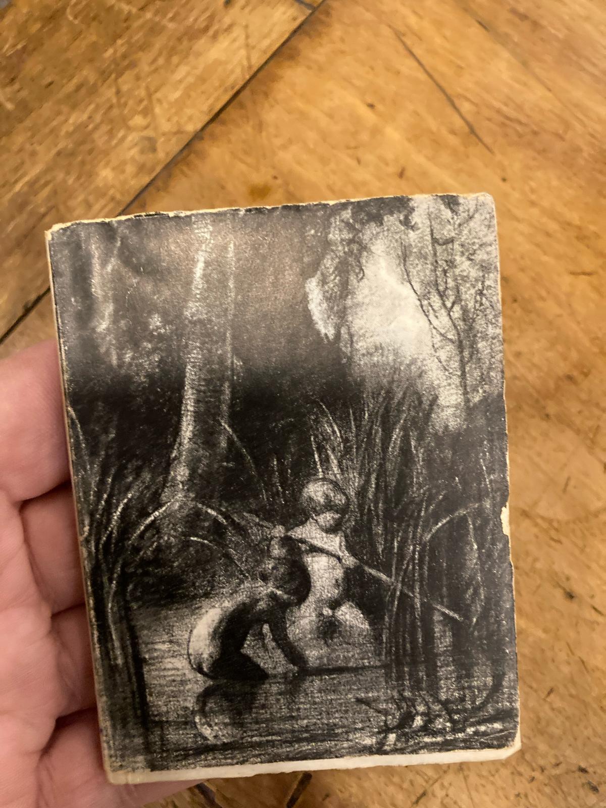 Disegni di Fontanesi