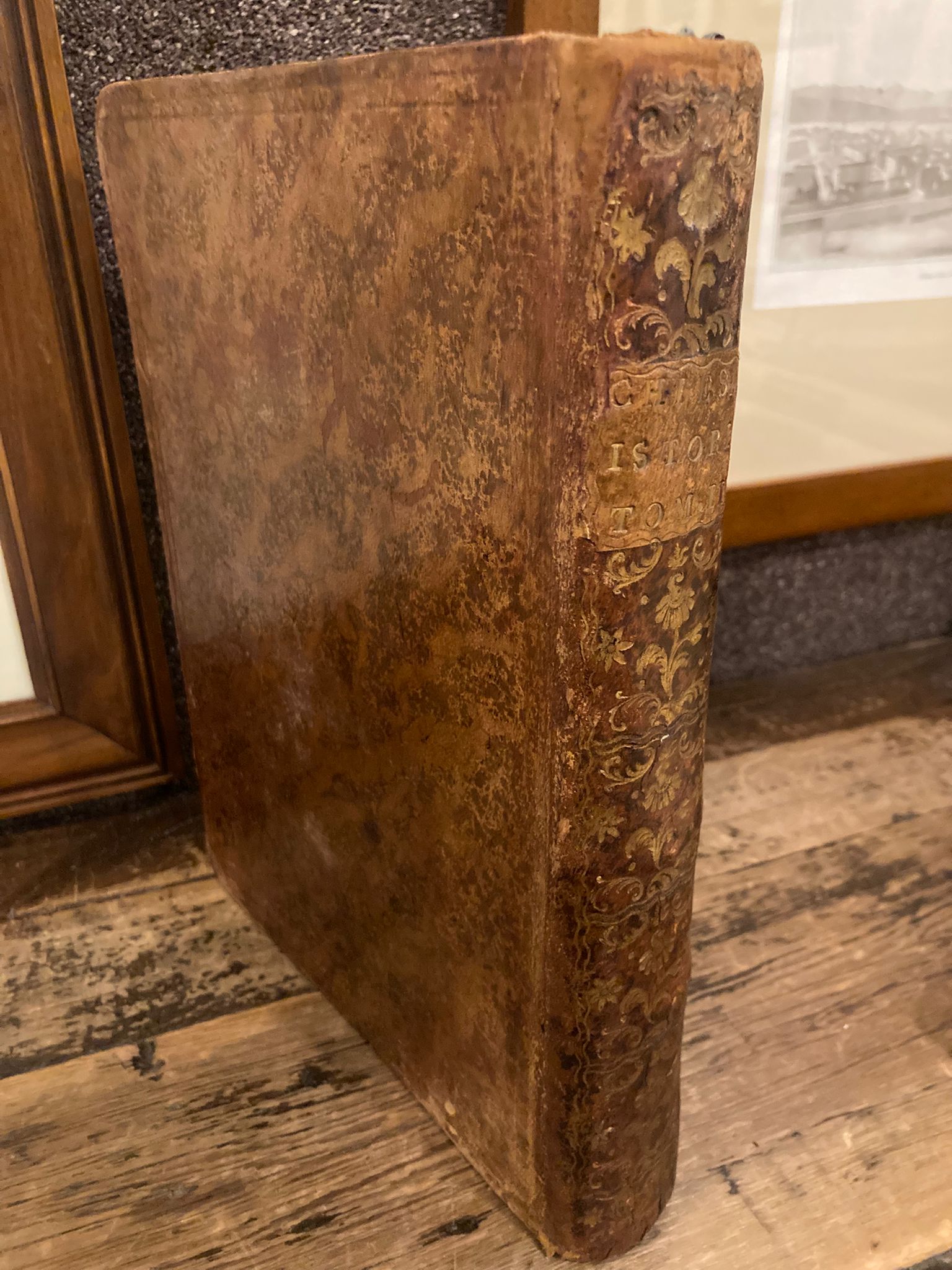 Fiori di Blasoneria per ornare la corona di Savoia con …