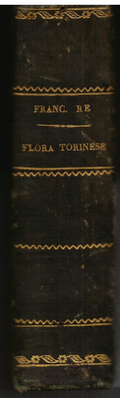 Flora Torinese