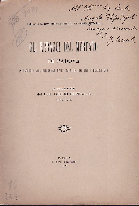 Gli erbaggi del mercato di Padova in rapporto alla diffusione …