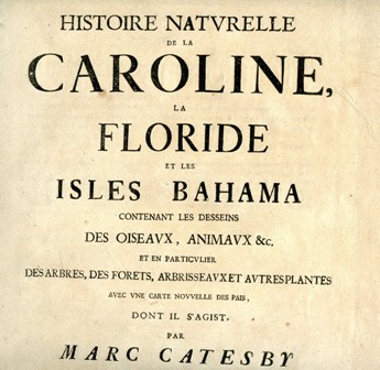 Histoire Naturelle de la Caroline, la Floride et les Isles …