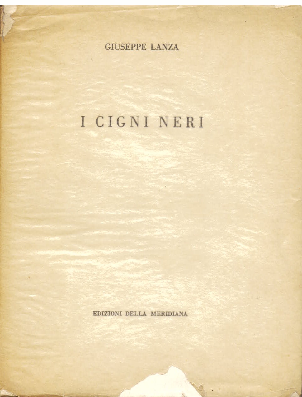 I cigni neri