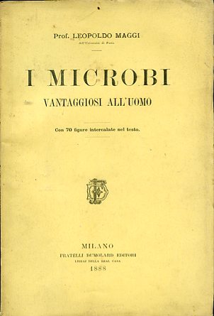 I microbi vantaggiosi all'uomo