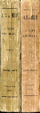 I tipi animali. Lezioni