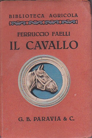 Il cavallo