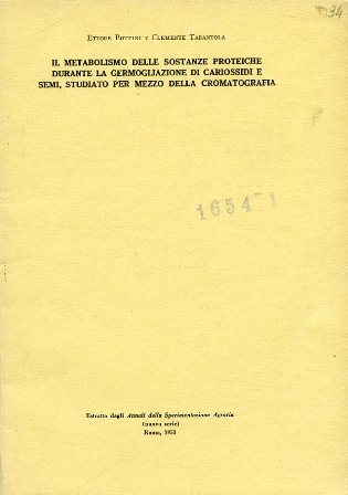 Il metabolismo delle sostanze proteiche durante la germogliazione di cariossidi …