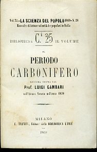 Il periodo carbonifero. Lettura tenuta nell'Ateneo veneto nell'anno 1869