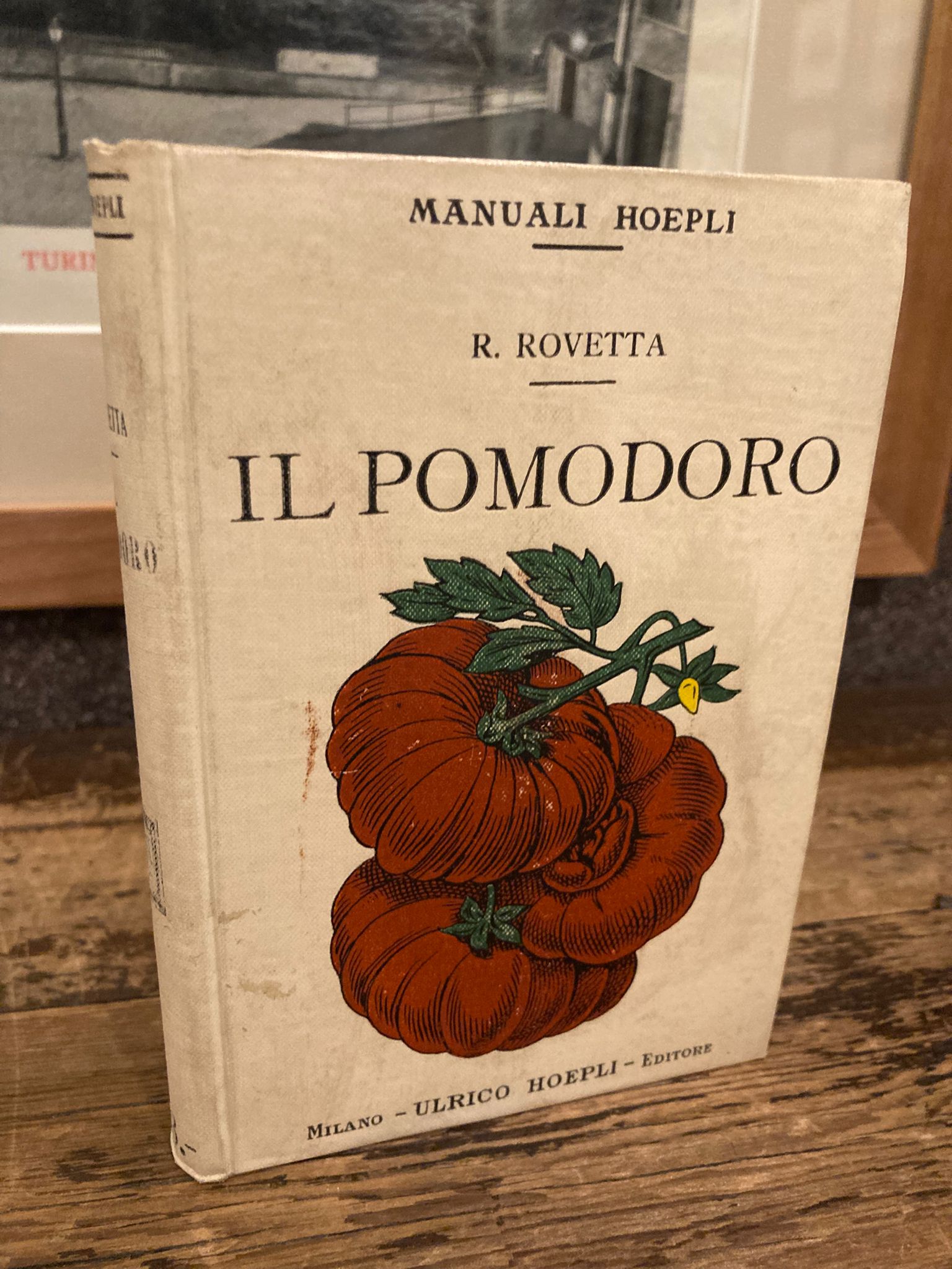 Il pomodoro. Coltivazione - Industria e Fabbricazione delle scatolette di …