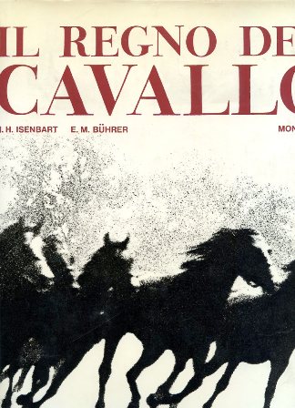 Il regno del cavallo