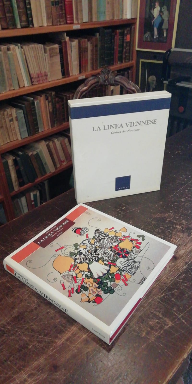 La linea viennese. Grafica Art Nouveau