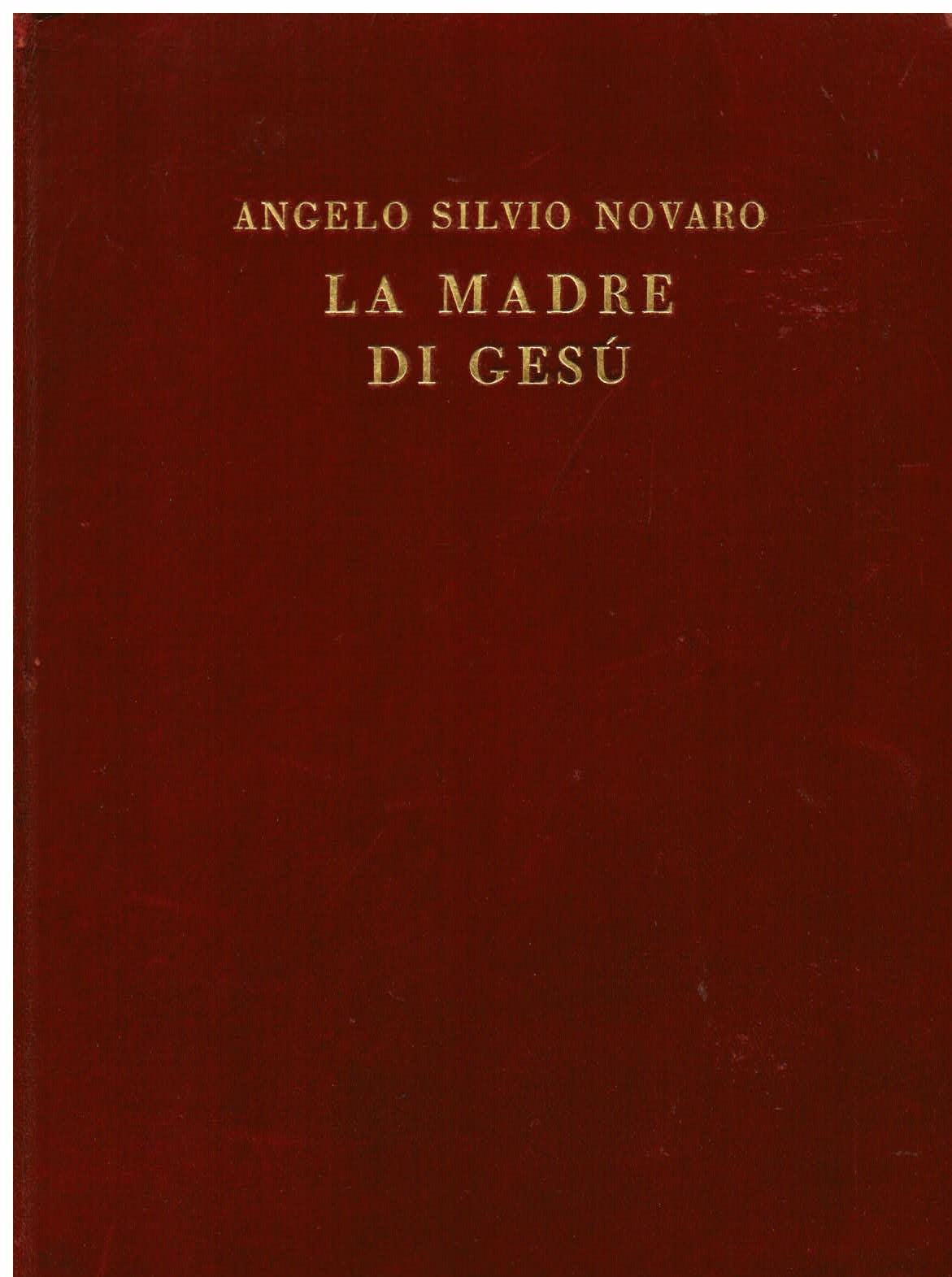 La madre di Gesù