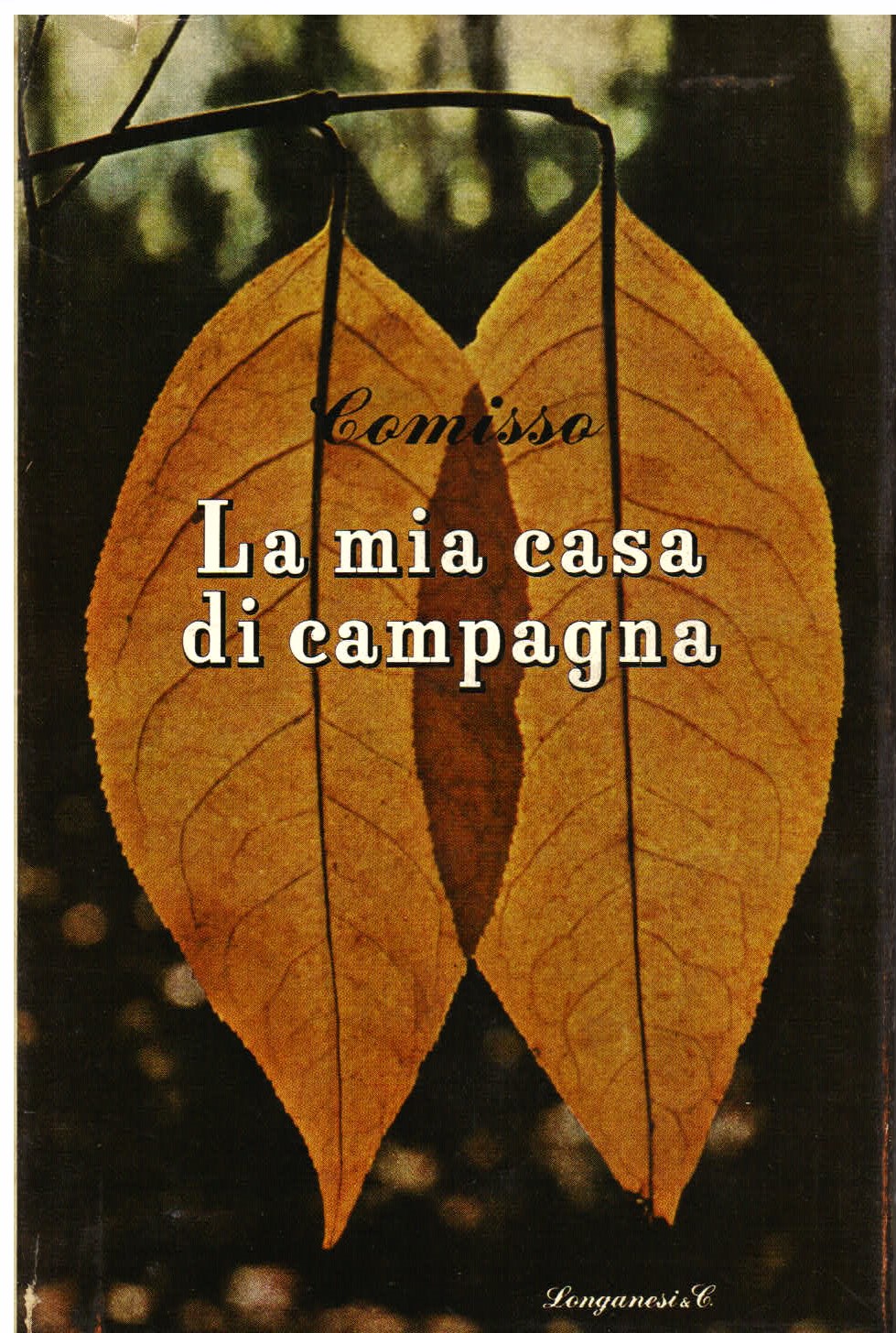 La mia casa di campagna