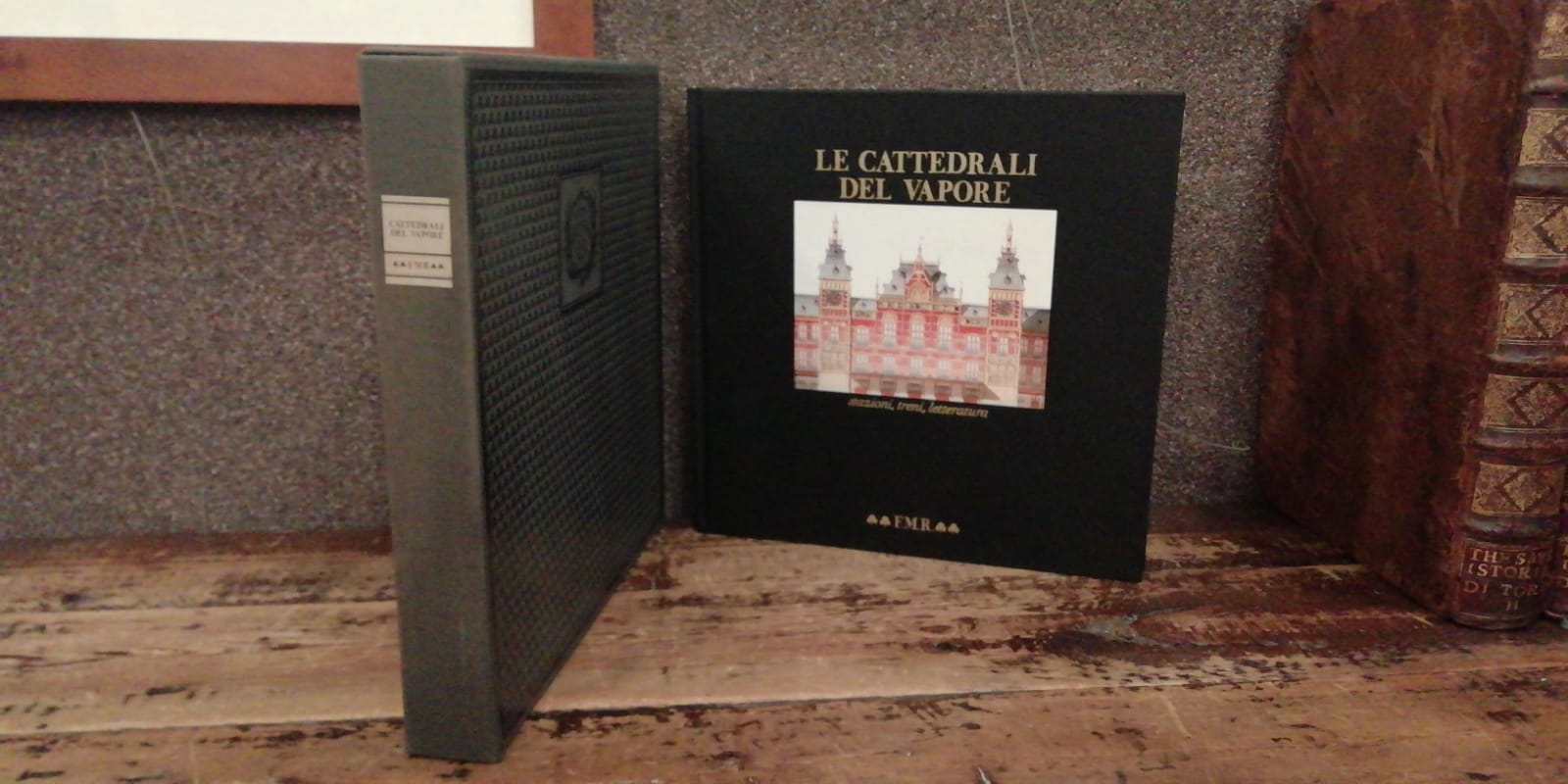 Le cattedrali del vapore. Stazioni, treni, letteratura