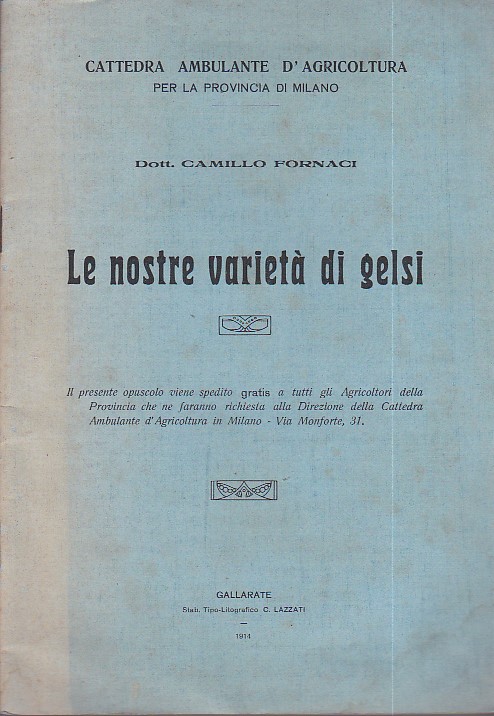 Le nostre varietà di gelsi