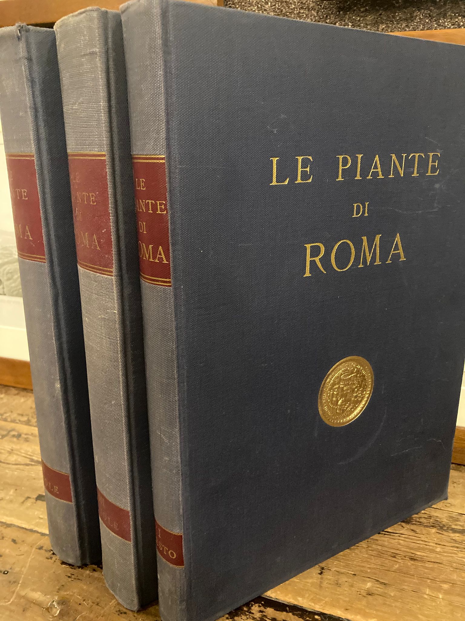 Le piante di Roma