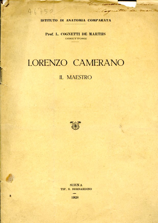 Lorenzo Camerano. Il Maestro