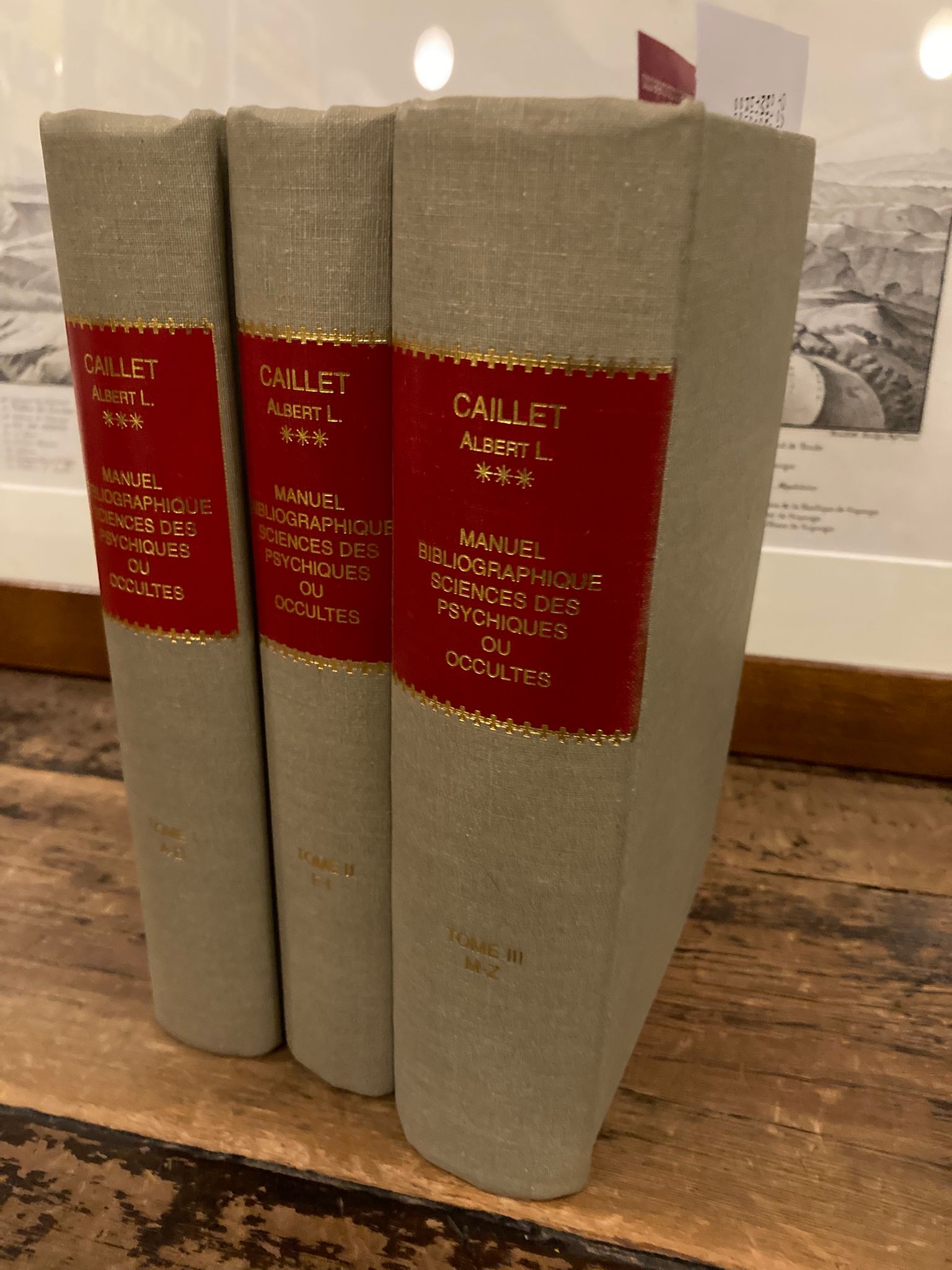 Manuel bibliographique des Sciences Psychiques ou Occultes