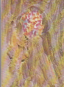 Mario Marcucci