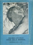 Michelangelo fino alla Sistina