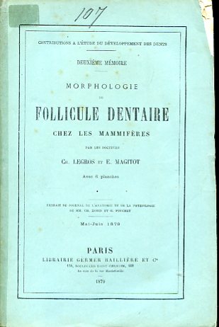 Morphologie du follicule dentaire chez les mammifères. Extrait du Journal …