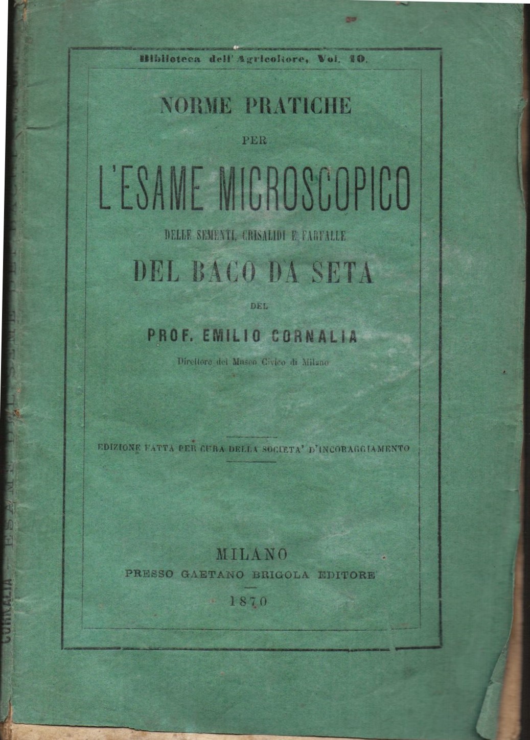 Norme pratiche per l'esame microscopico delle sementi, crisalidi e farfalle …