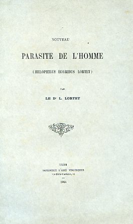 Nouveau parasite de l'homme (Helophilus Horridus Lortet)