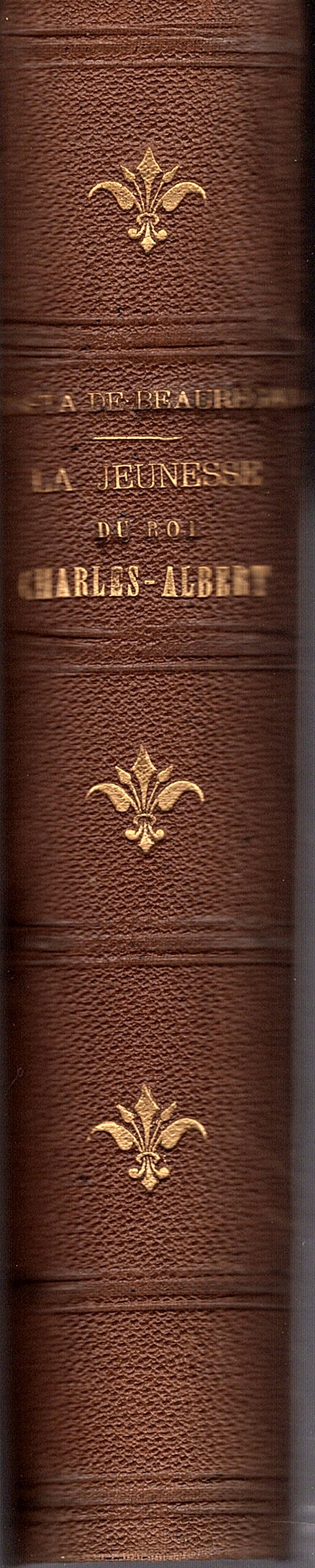 Prologue d' un règne. La jeunesse du Roi Charles - …