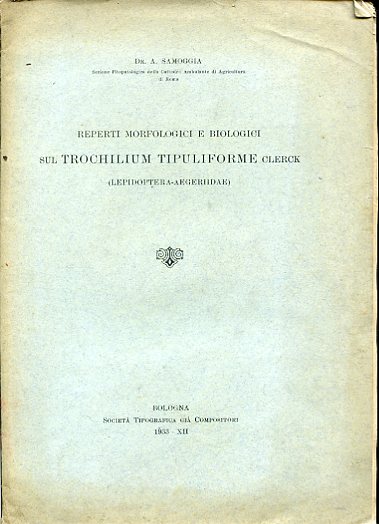 Reperti morfologici e biologici sul Trochilium Tipuliforme Clerck (Lepidoptera - …