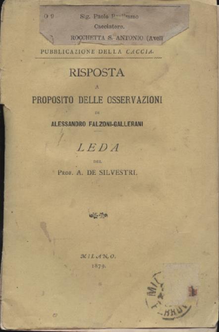 Risposta a proposito delle osservazioni di Alessandro Falzoni - Gallerani. …