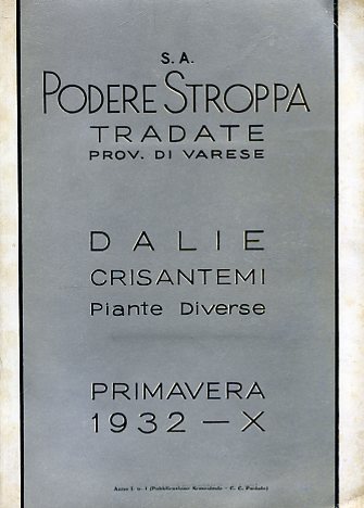 S. A. Podere Stroppa Tradate Provincia di Varese. Dalie crisantemi …