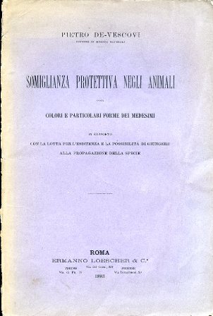 Somiglianza protettiva negli animali ossia colori e particolari forme dei …
