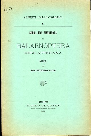 Sopra una mandibola di Balaenoptera dell'Astigiana. Nota