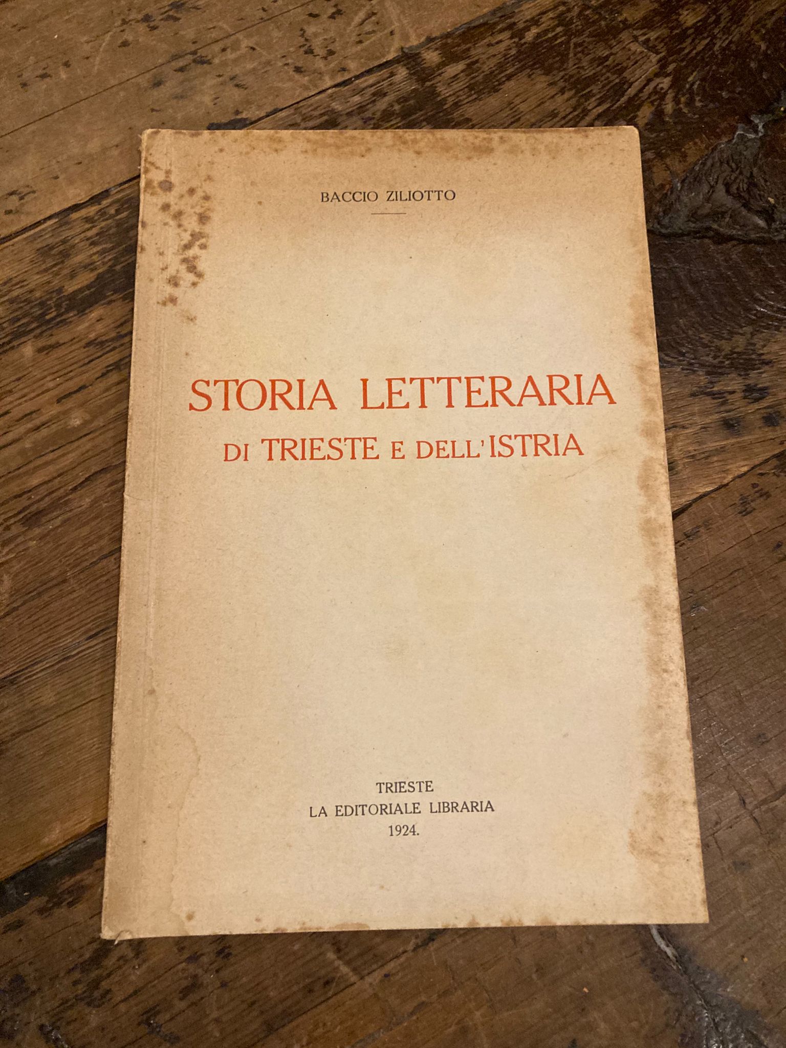 Storia letteraria di Trieste e dell' Istria