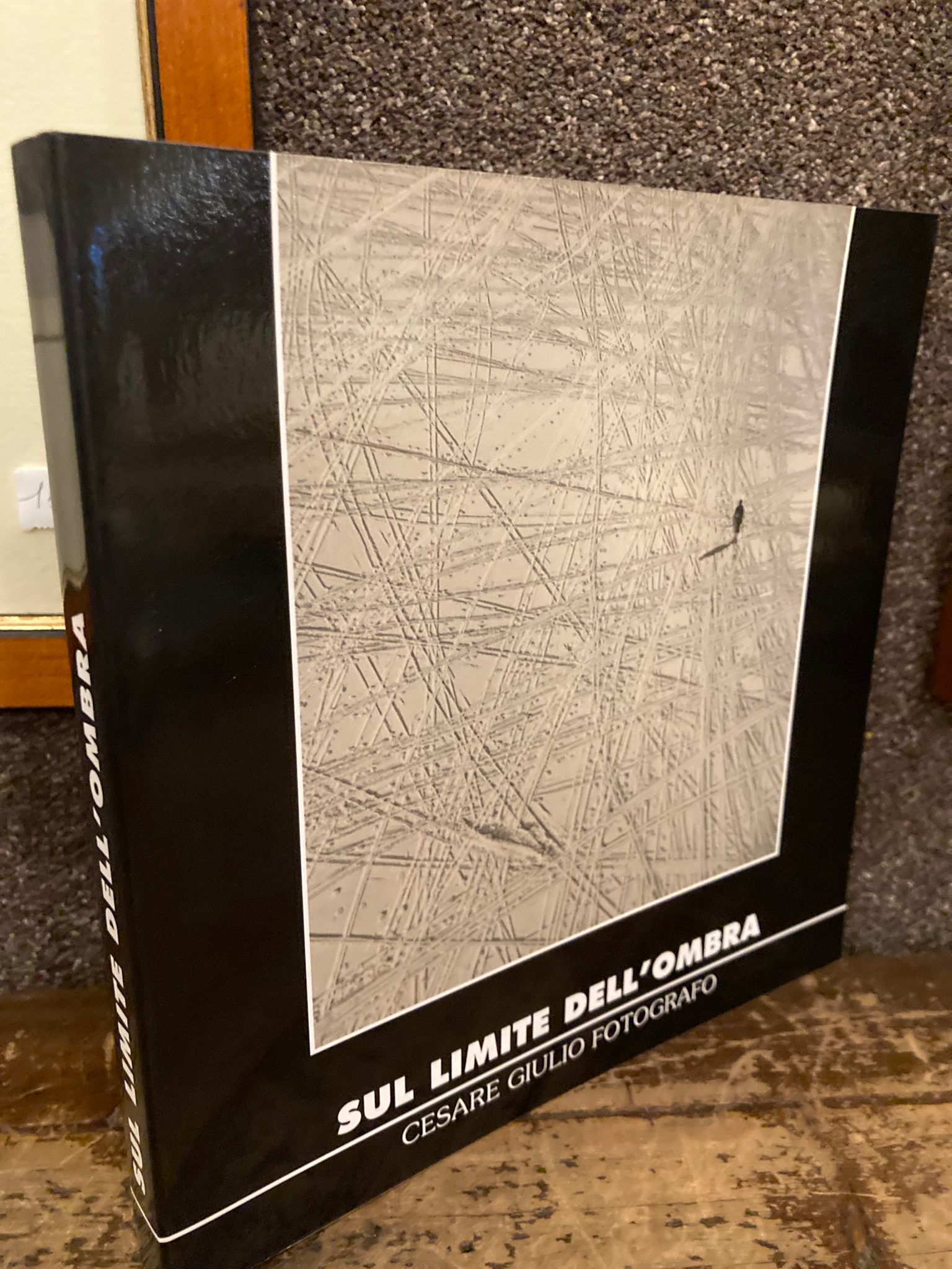 Sul limite dell' ombra. Cesare Giulio fotografo